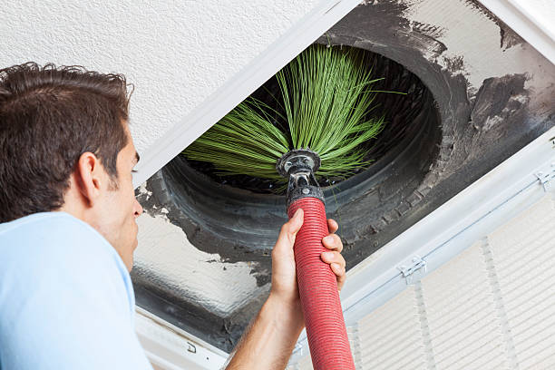 Best Professional Duct Cleaning Services  in Opa Locka, FL